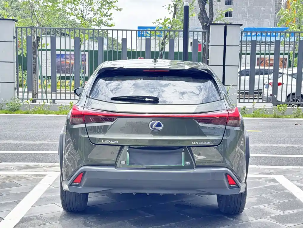 Lexus UX 2020 300e