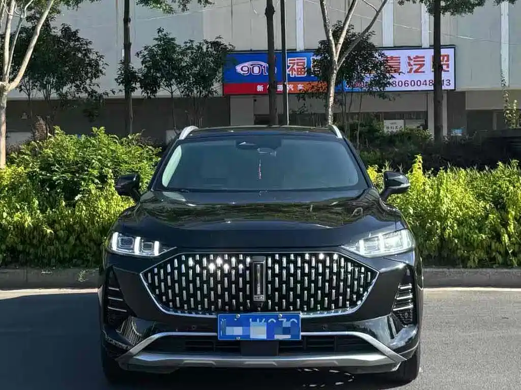 WEI PAI WEI BRAND MOCHA