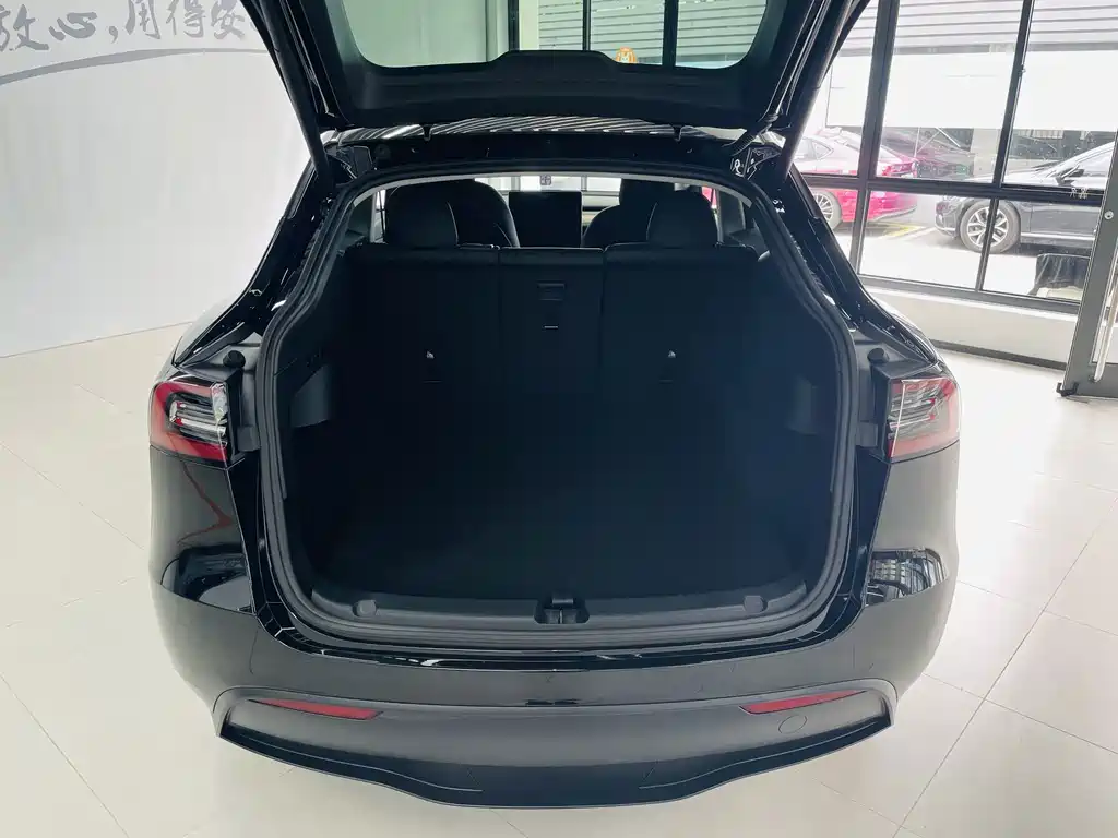 Tesla Model Y — миниатюра 15