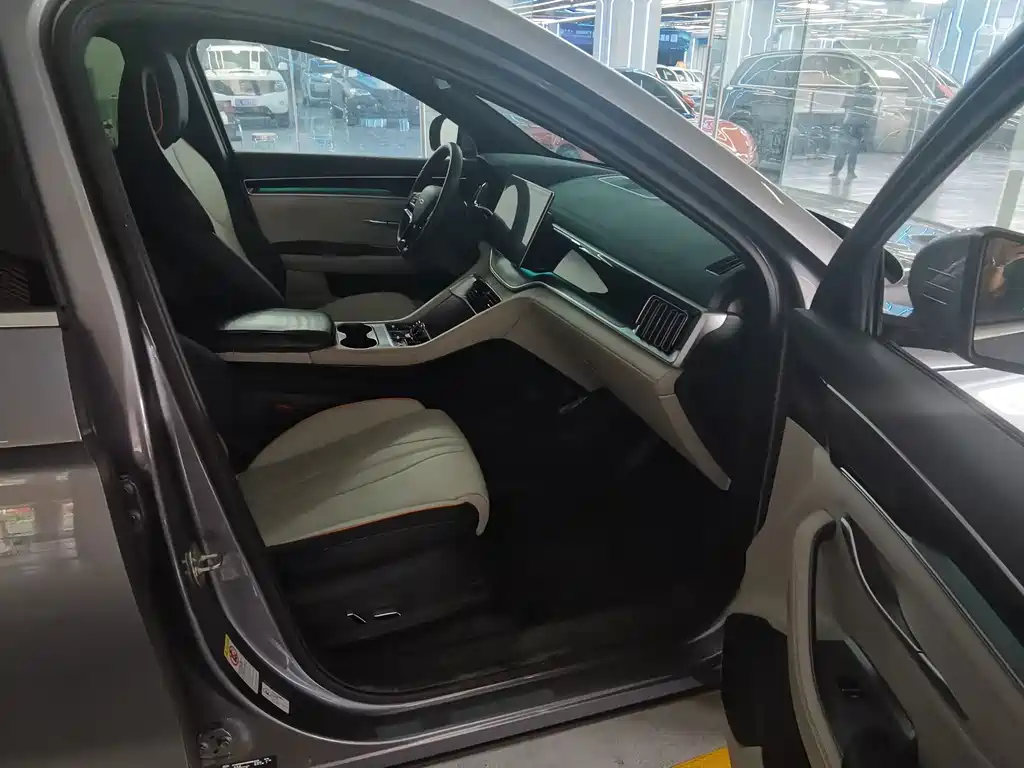 BYD PLUS New Energy — миниатюра 5