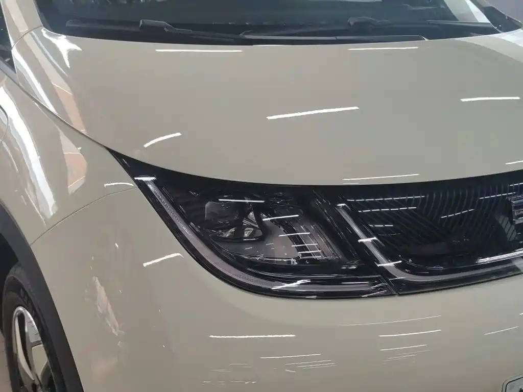 BYD Dolphin — миниатюра 11