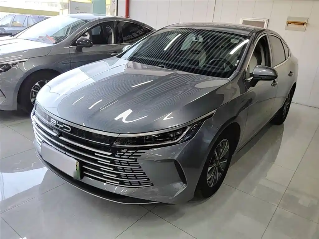 BYD Destroyer 05 2024