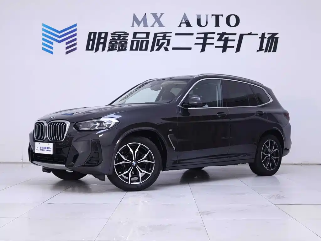 BMW X3 — миниатюра 2