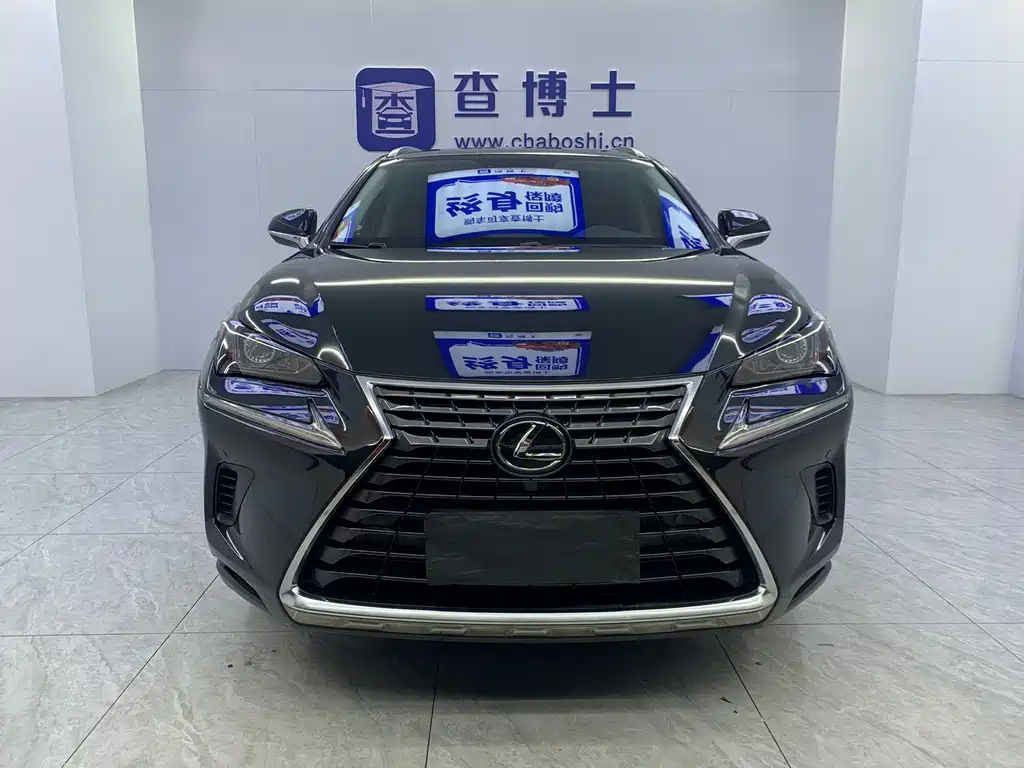 Lexus NX — миниатюра 2