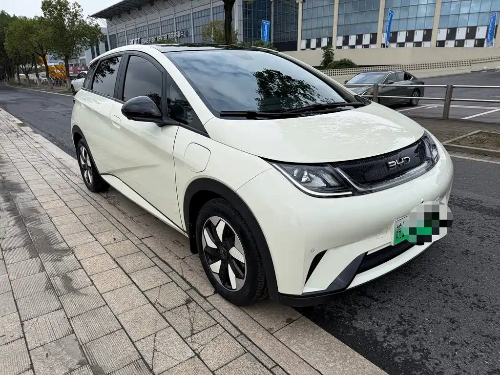 BYD Dolphin — миниатюра 4