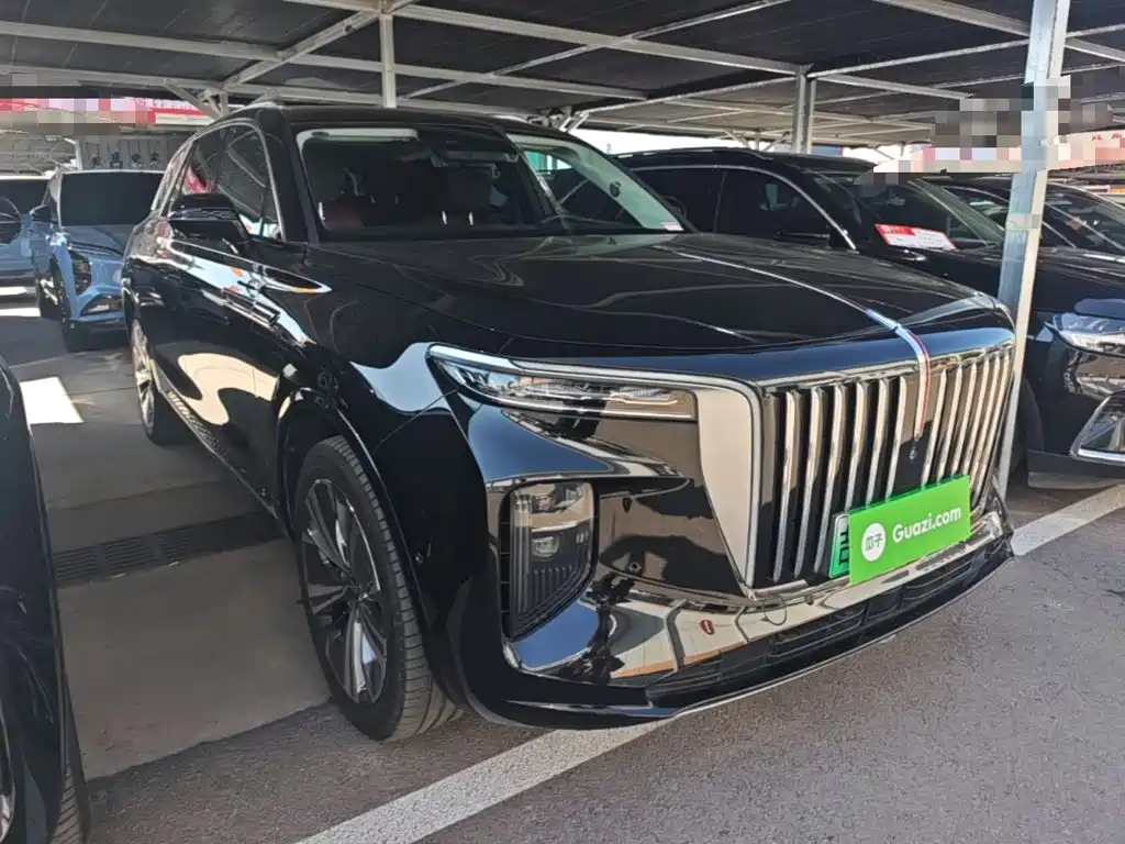 Hongqi E-HS9 — фотографии объявления, Фото 5