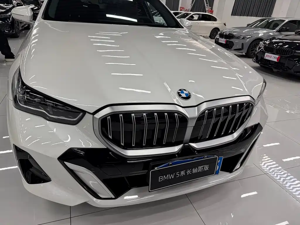 BMW 5 Series — миниатюра 3