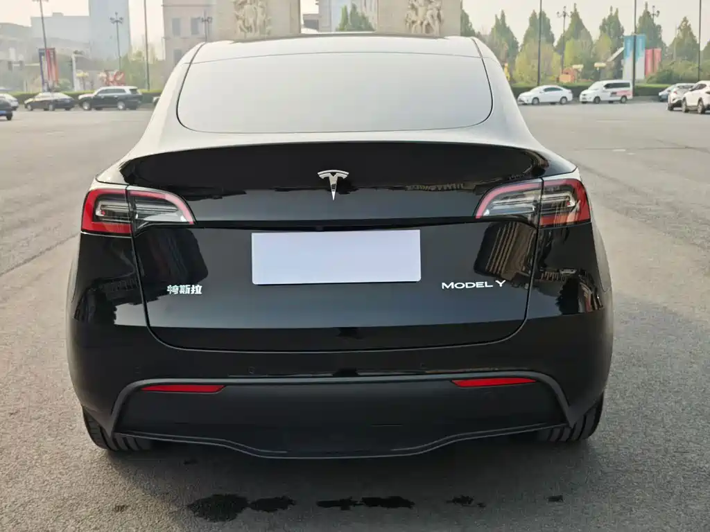 Tesla Model Y — миниатюра 5