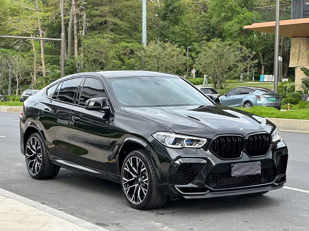 BMW X6 M — миниатюра 3