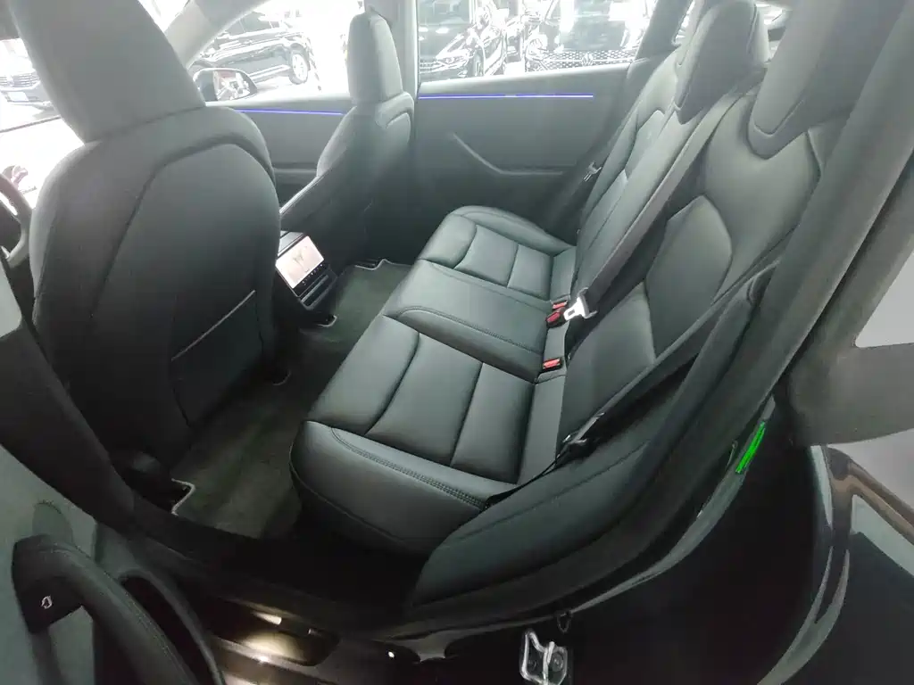 Tesla Model 3 — миниатюра 11
