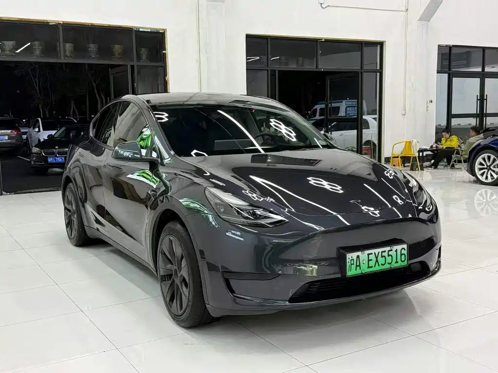 Tesla Model Y — миниатюра 3