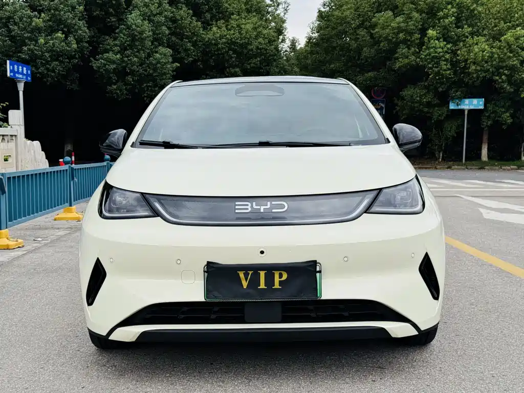 BYD Dolphin — миниатюра 2