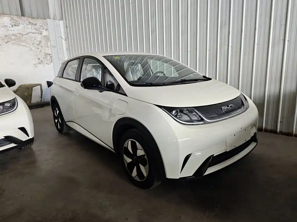 BYD Dolphin — миниатюра 4