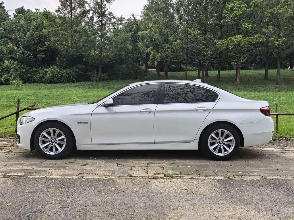 BMW 5 Series (Import) — миниатюра 2