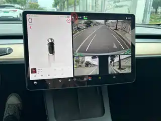 Tesla Model 3 Standard Range rear-wheel Drive Upgraded Version 3D6