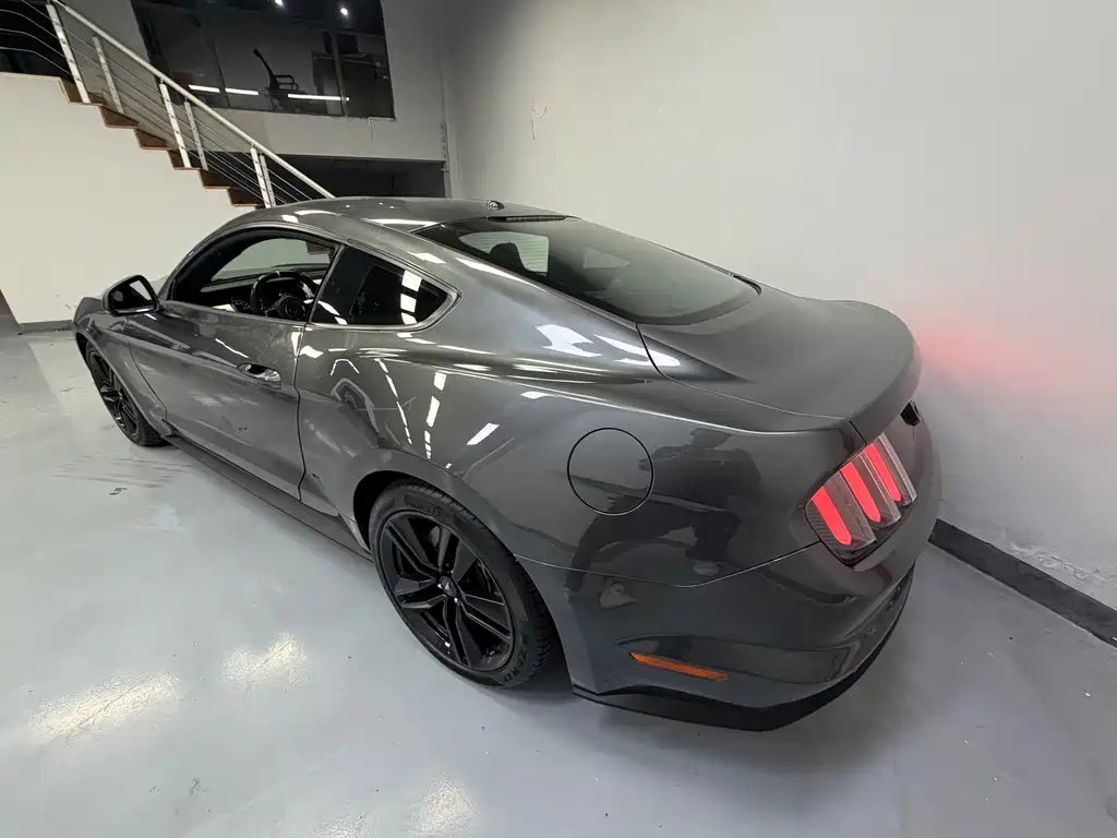 Ford Mustang — миниатюра 13