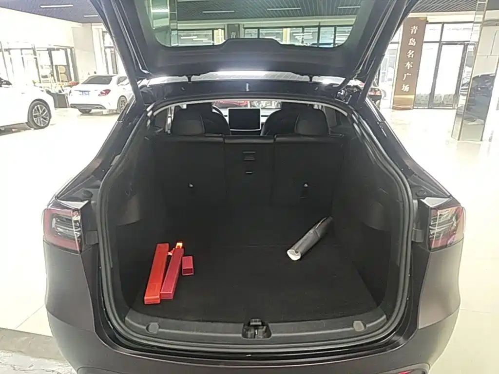 Tesla Model Y — миниатюра 19