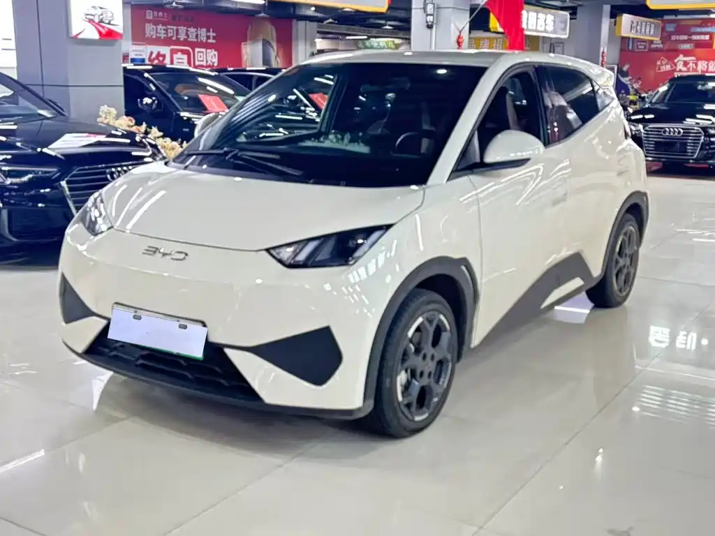 BYD Seagull