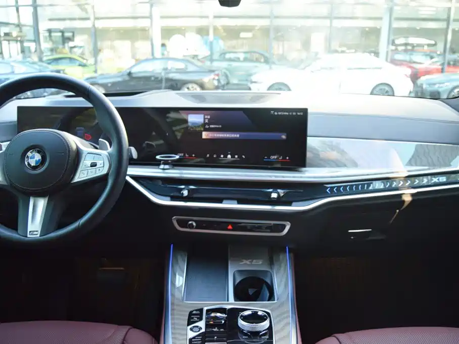 BMW X5 — миниатюра 8