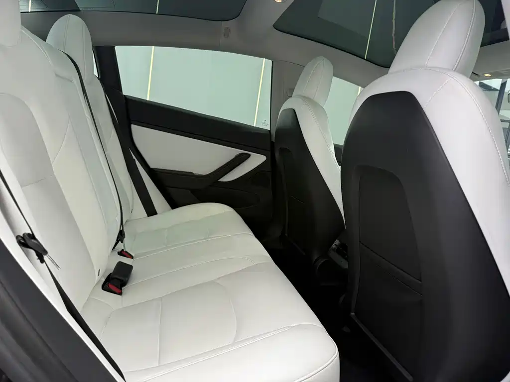 Tesla Model 3 — миниатюра 12