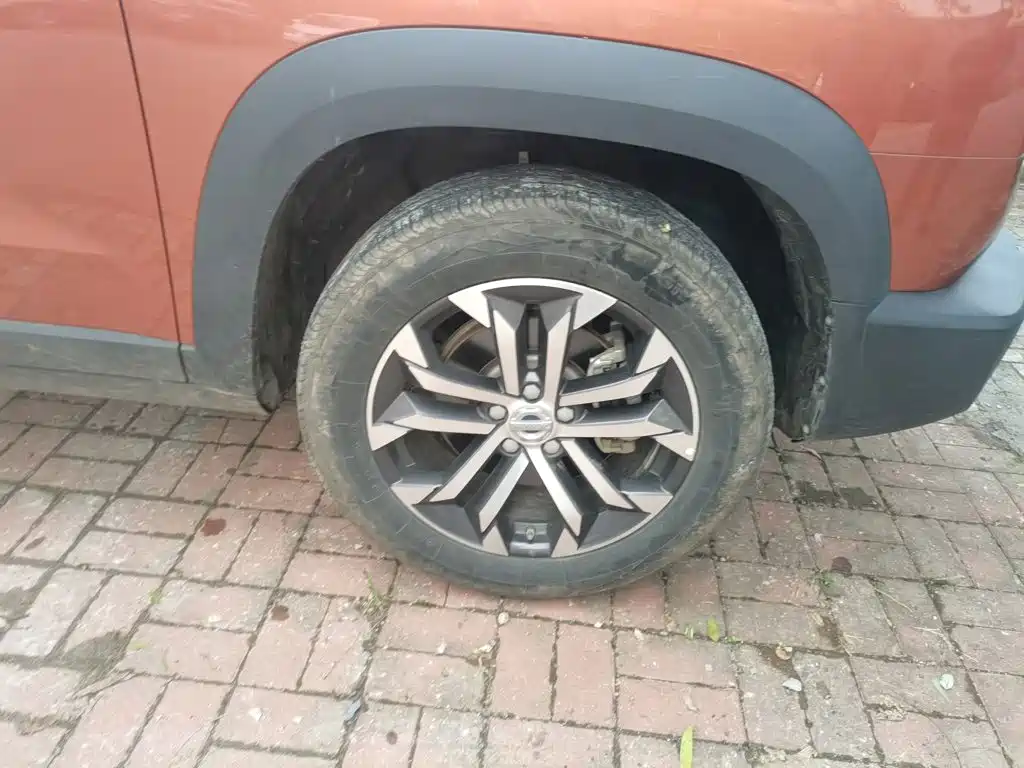 Haval Big Dog — миниатюра 8