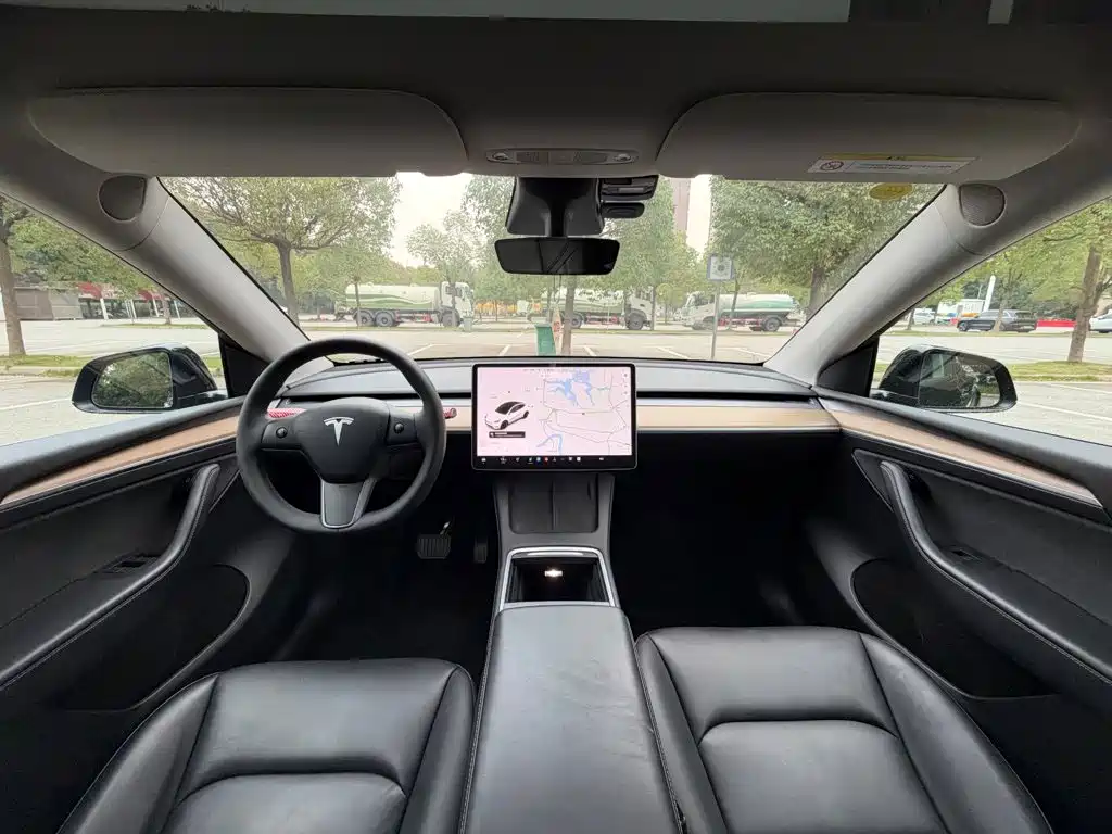 Tesla Model Y — миниатюра 9
