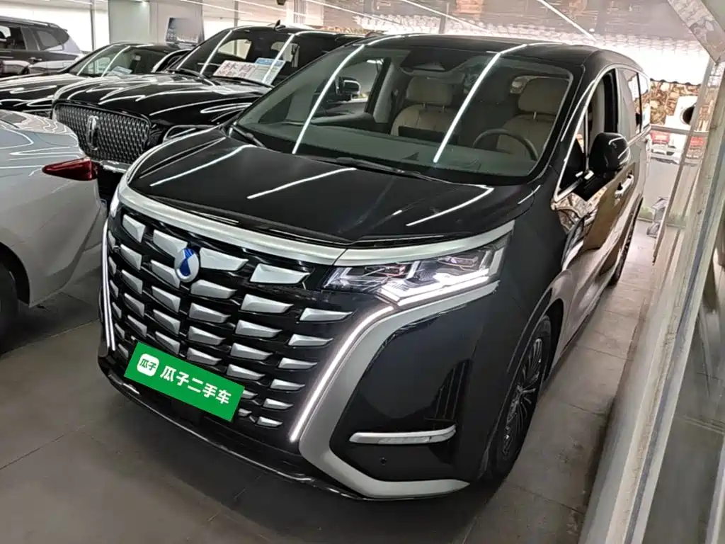 Denza Denza D9