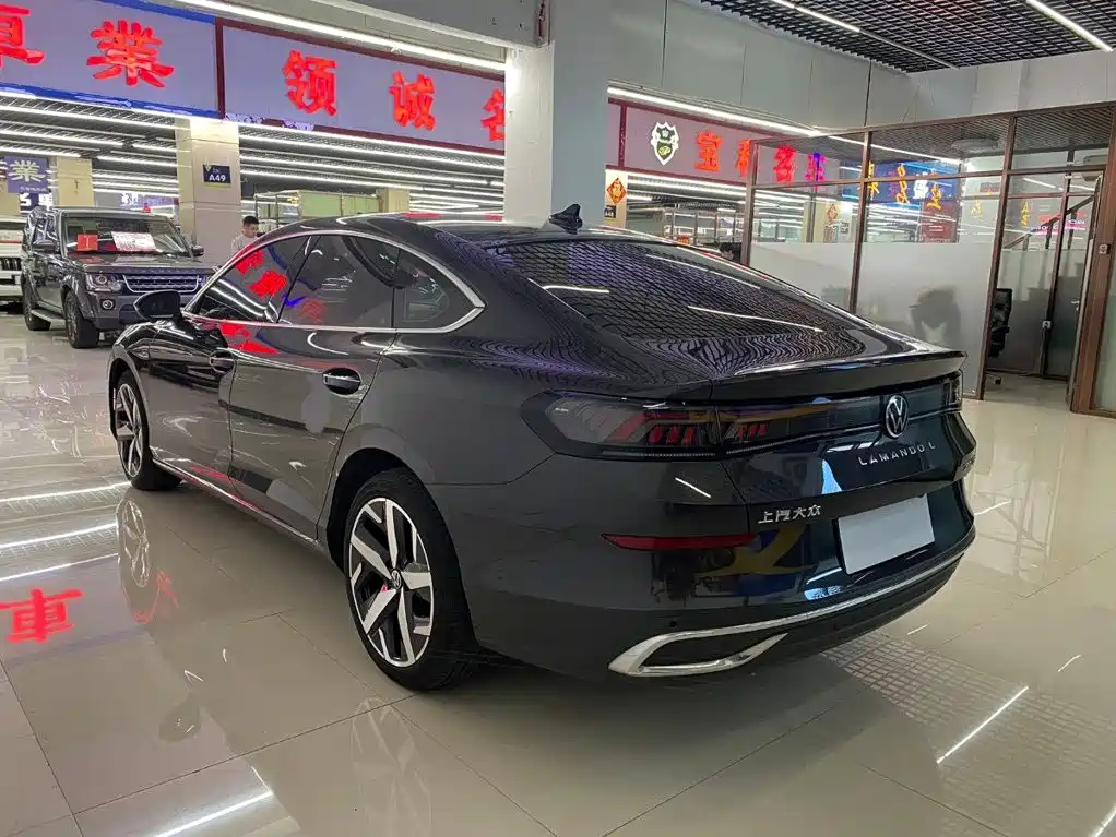 Volkswagen Lamando — миниатюра 4
