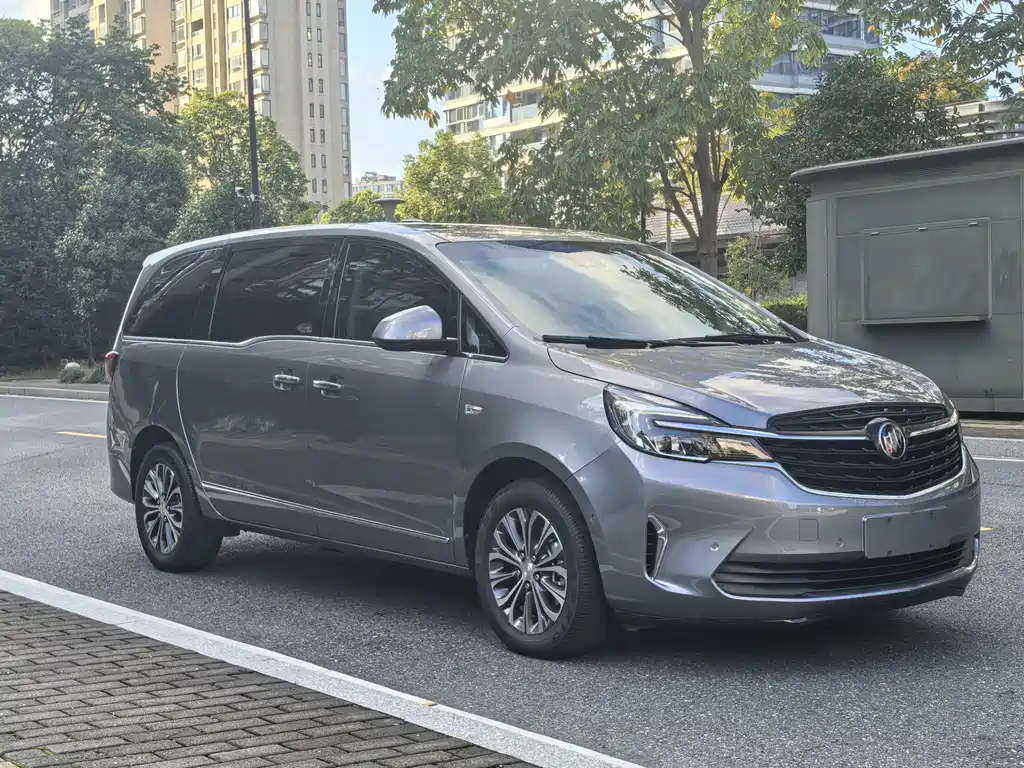 Buick GL8 — миниатюра 3