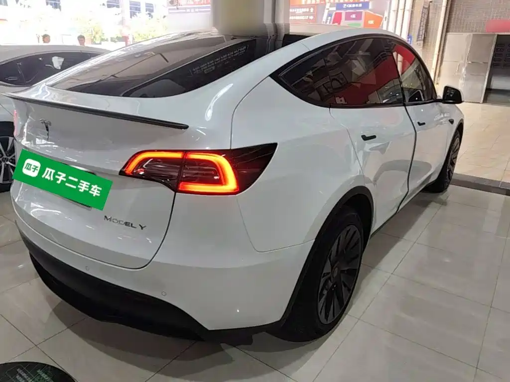 Tesla Model Y — миниатюра 7