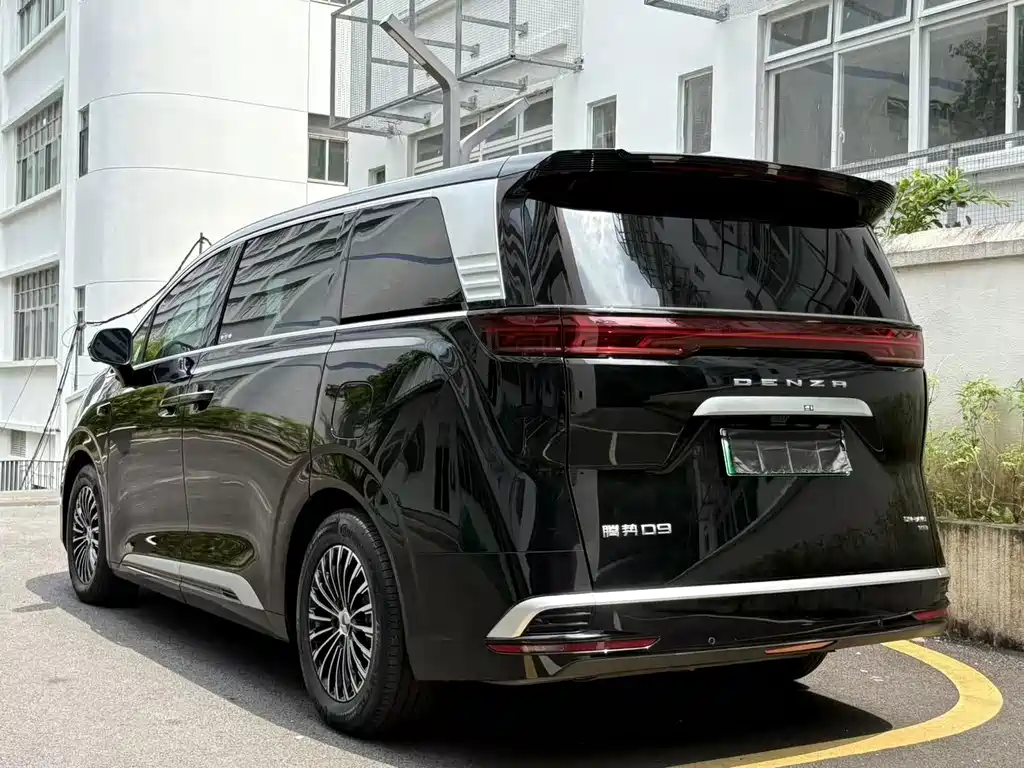 Denza Denza D9 — миниатюра 4