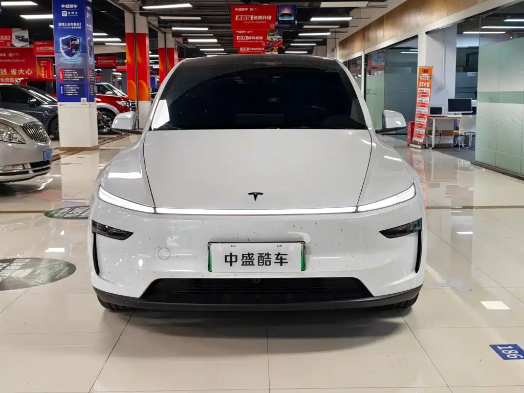 Tesla Model Y L — миниатюра 2