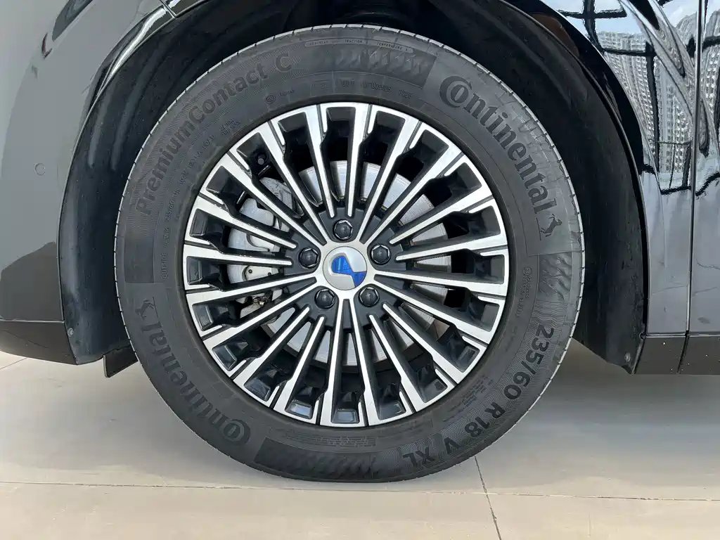 Denza Denza D9 — миниатюра 16
