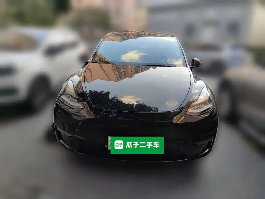 Tesla Model Y — миниатюра 2