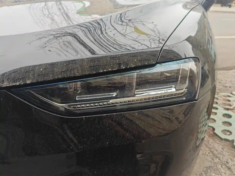 WEI PAI WEI BRAND VV7