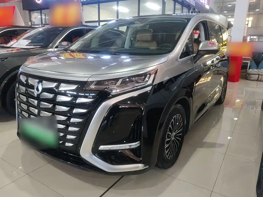 Denza Denza D9