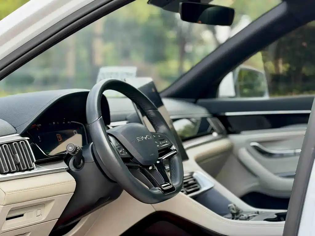 BYD PLUS New Energy — миниатюра 10