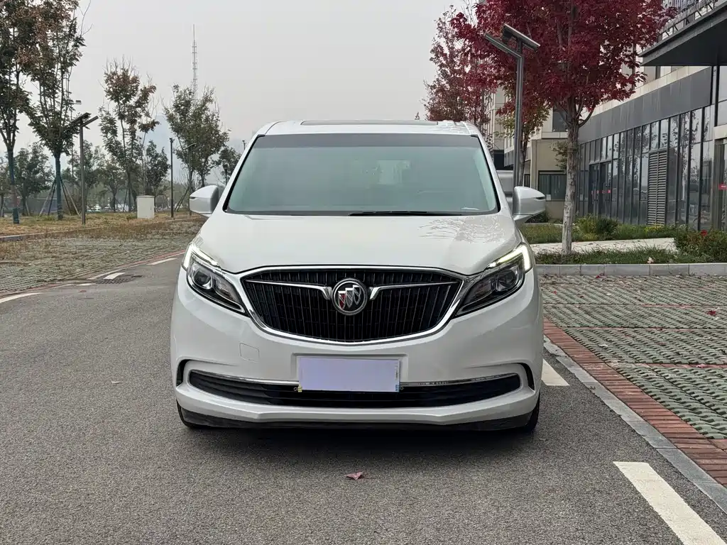 Buick GL8 — миниатюра 2