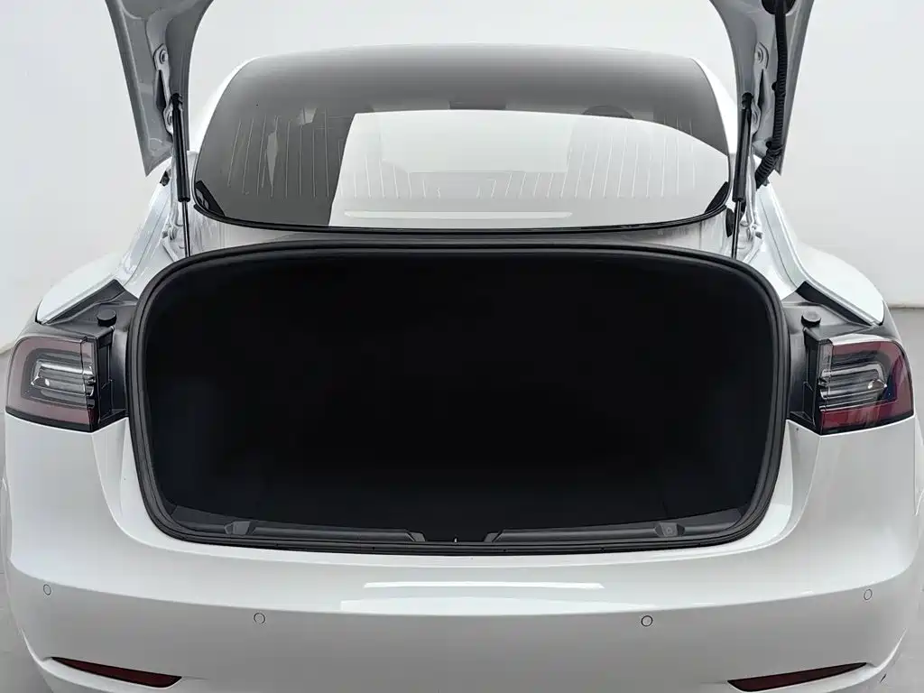 Tesla Model 3 — миниатюра 16