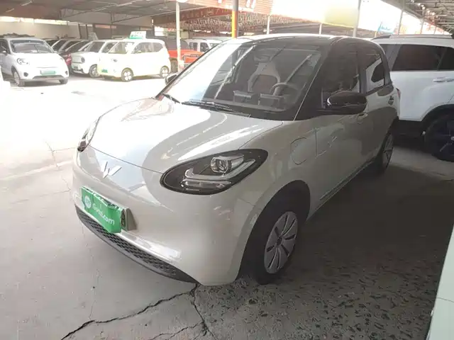 2025 Wuling Motors Binguo