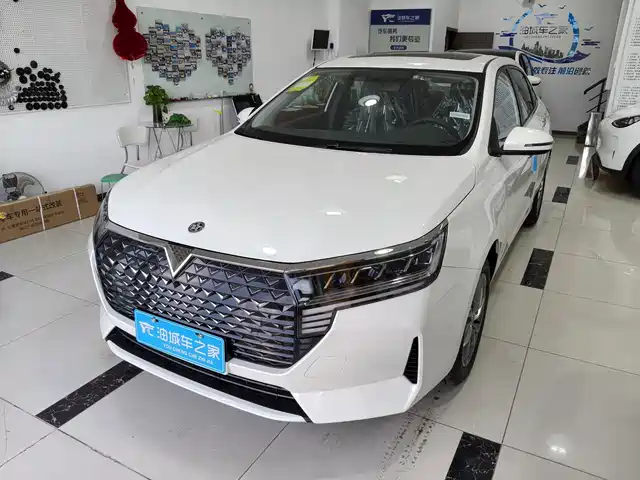 Venucia D60