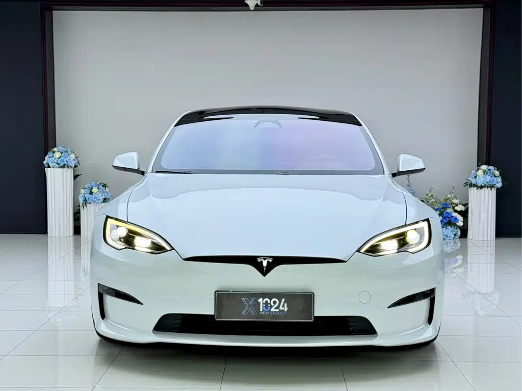 Tesla Model S — миниатюра 2