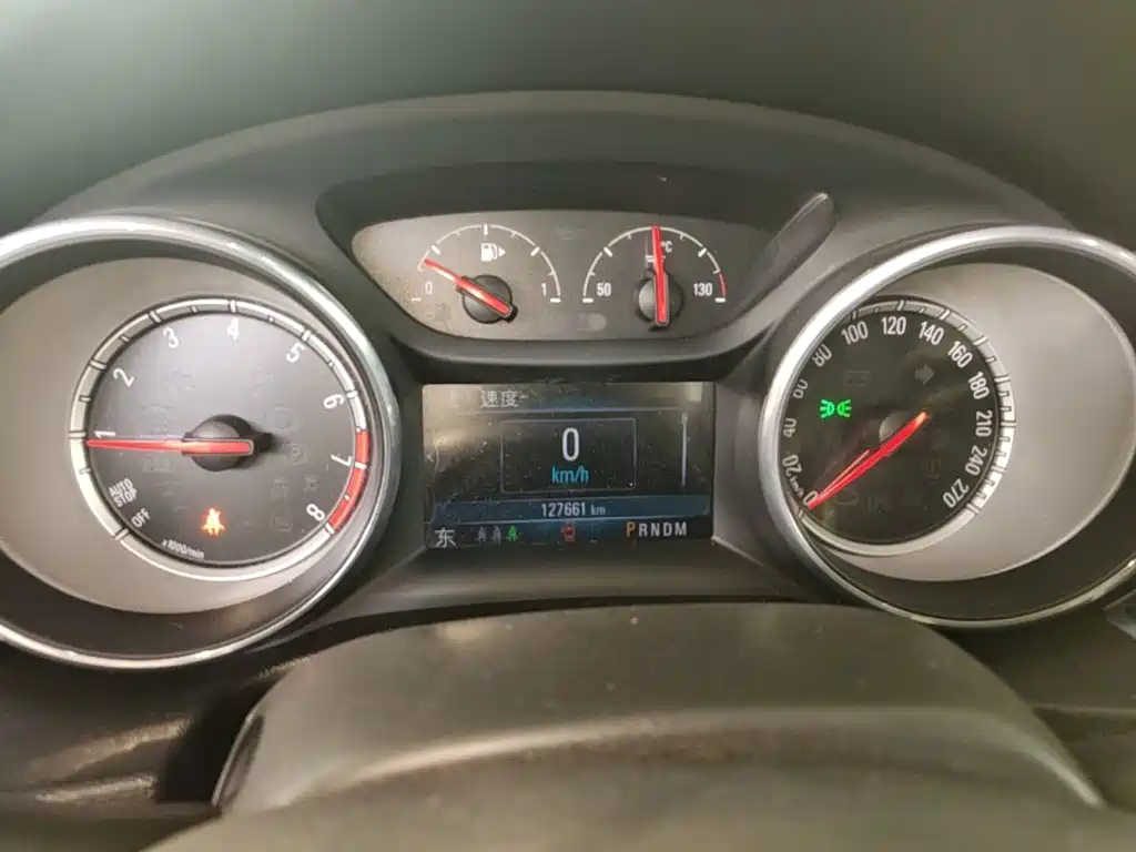 Buick Regal — миниатюра 12