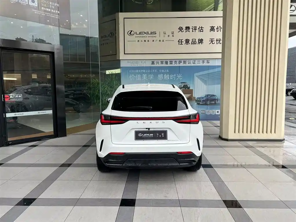 Lexus NX New Energy — миниатюра 2