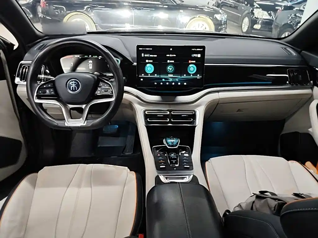 BYD PLUS New Energy — миниатюра 10