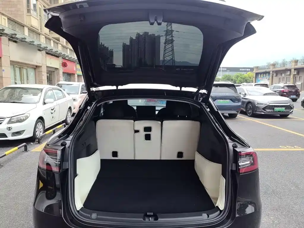 Tesla Model Y — миниатюра 19