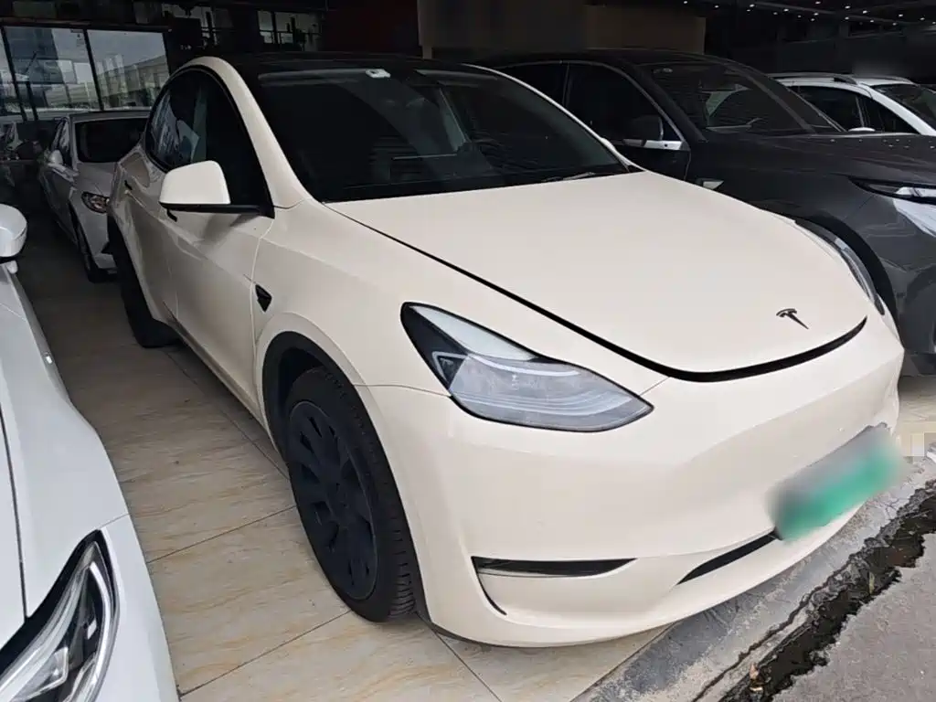 Tesla Model Y — миниатюра 4