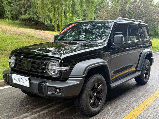 Tank 300