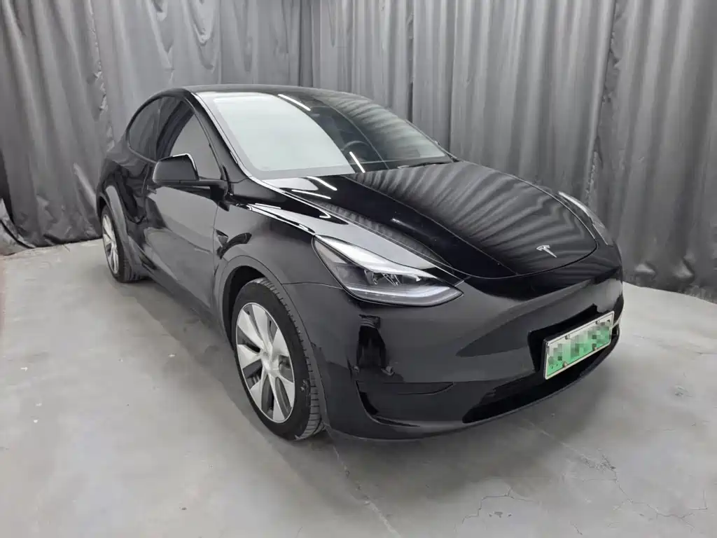 Tesla Model Y — миниатюра 2