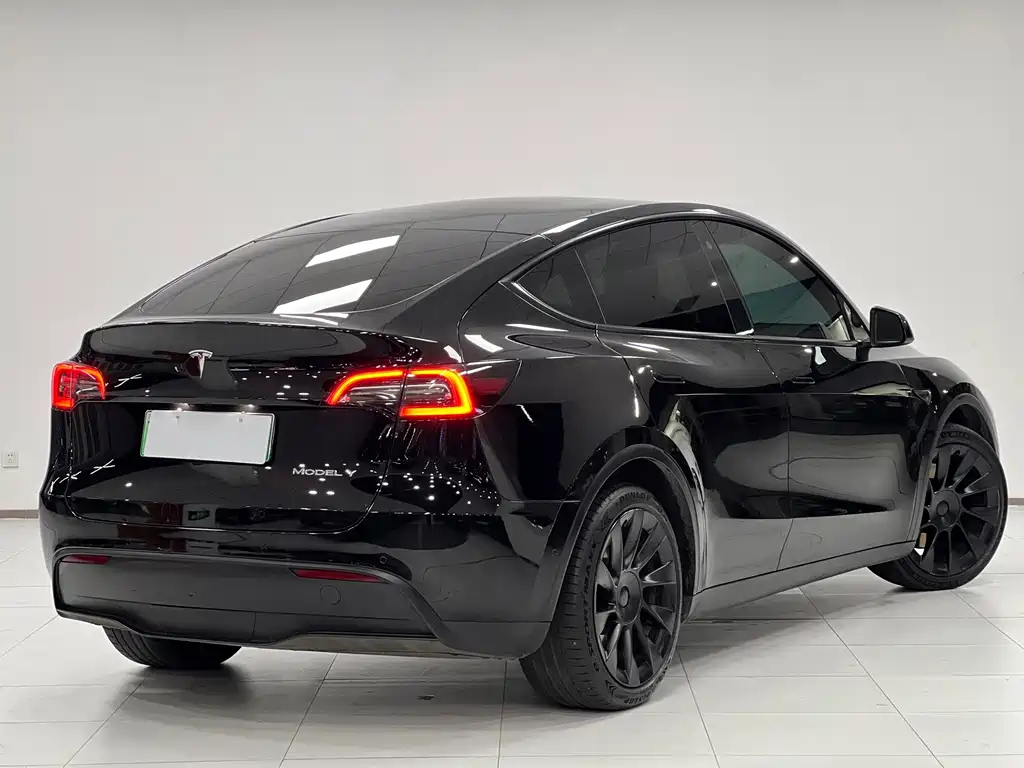 Tesla Model Y — миниатюра 3